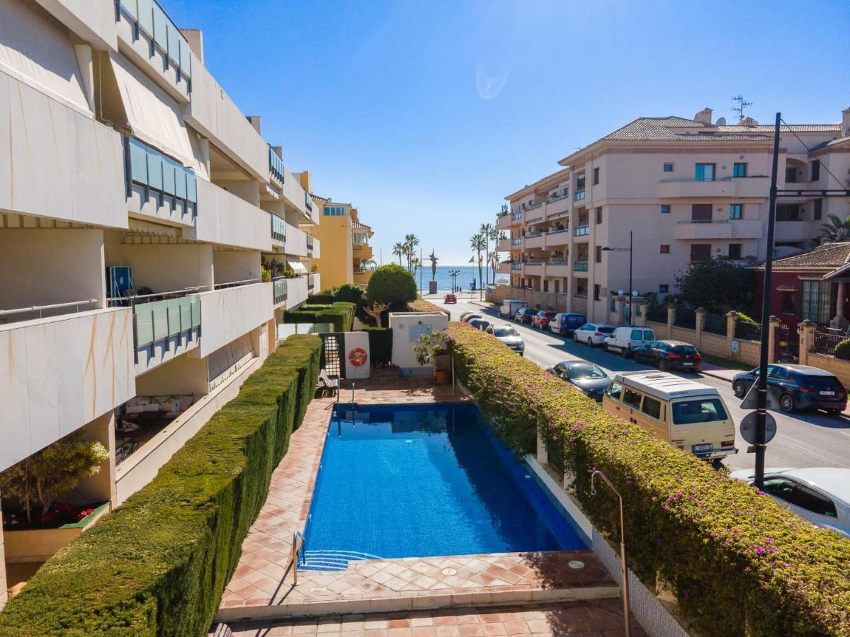 3 Bed Petunias, San Pedro